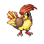 Pidgeotto